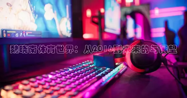 蜘蛛nba免费直播在线观看高清